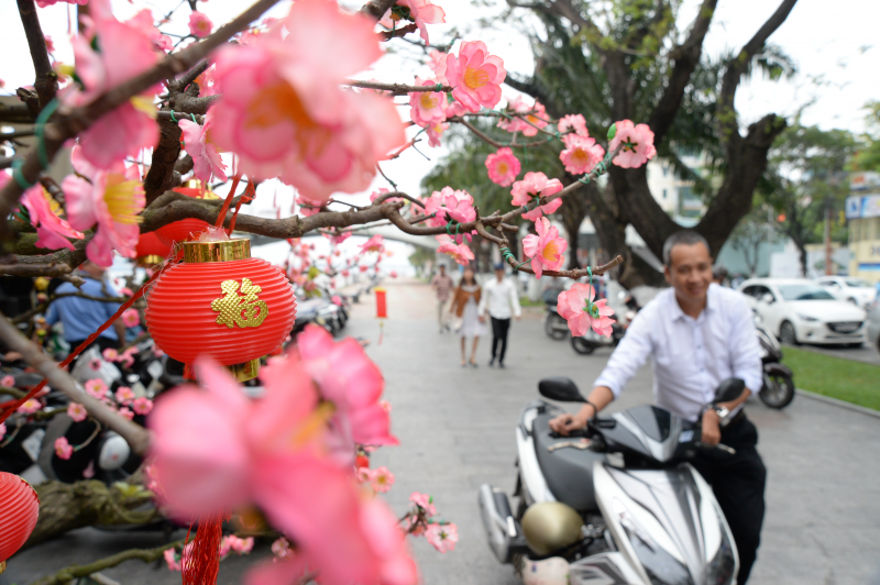 旧正月（テト）の過ごし方