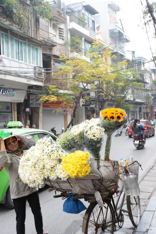 ベトナムの気候風土
