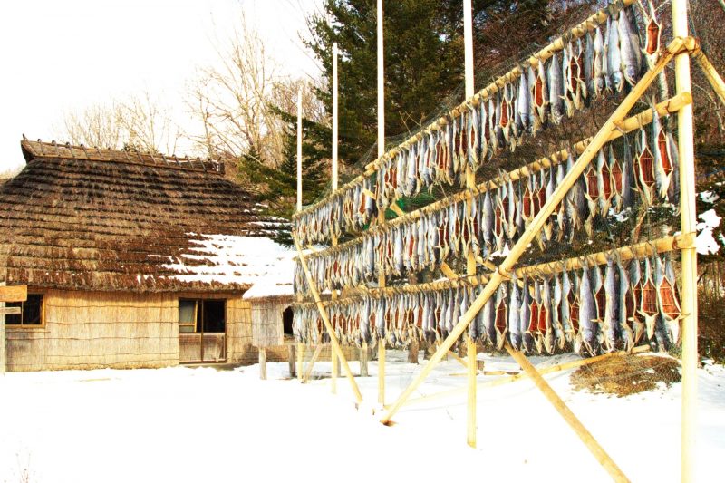 Đối với người Ainu, cá hồi cá “cá của các vị Thần” – Tìm hiểu các đắc trưng trong văn hóa ẩm thực của người Ainu(鮭は「神の魚」ーアイヌ人の食文化について学ぶ)