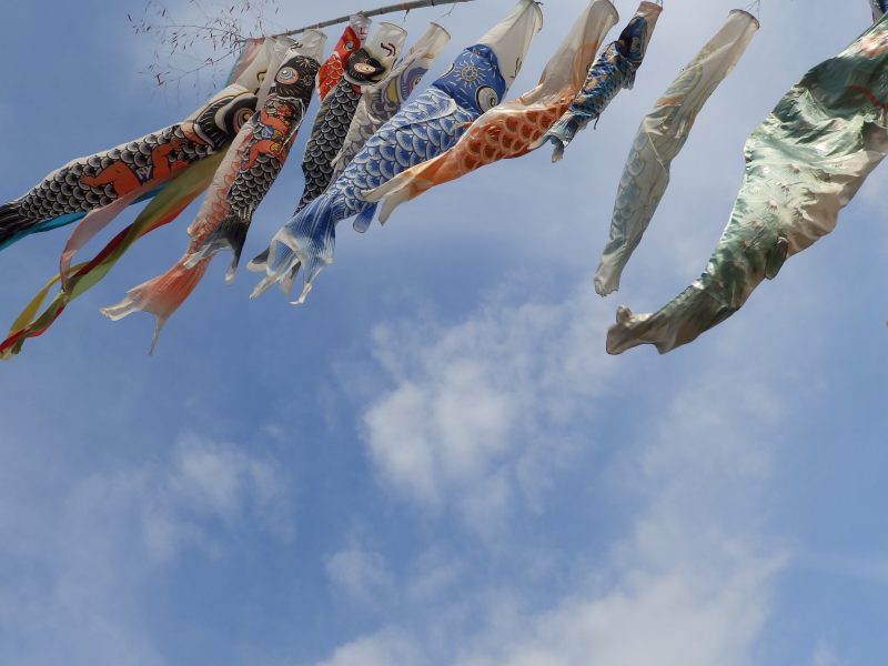 Ngày thiếu nhi (5 tháng 5) của Nhật có liên quan gì tới văn hóa Samurai? TÌm hiểu lịch sử ra đời của ngày thiếu nhi (5 tháng 5) ở Nhật(子供の日と侍の文化・子供の日の由来)