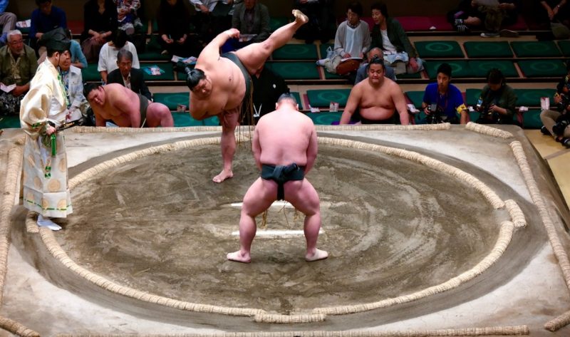 SUMO(相撲）