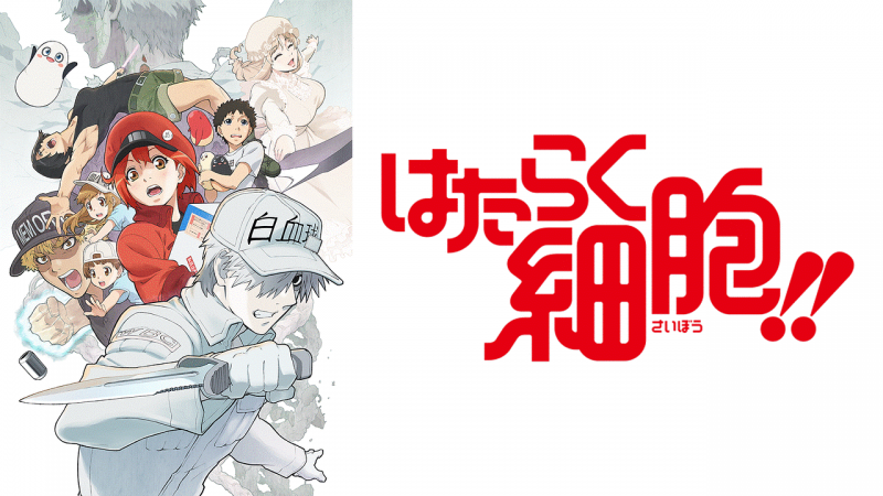 Top 10 bộ phim hoạt hình có ích cho việc học tập tại nhà(在宅勉強に役立つアニメのTop 10)