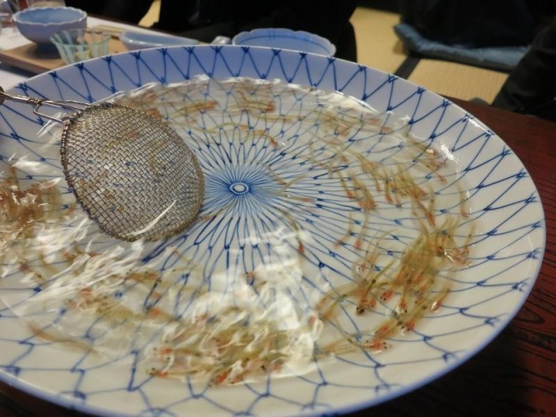 “Shirouo no Odorigui” – món cá biết múa(白魚の踊り食い ~踊る魚の料理~)