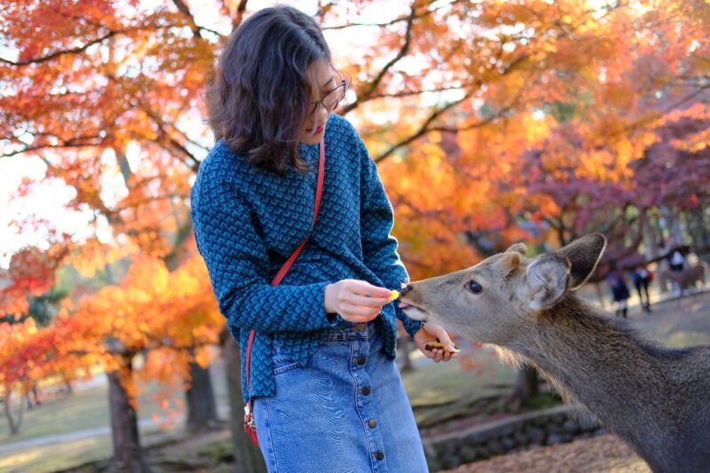 LẠI THỊ HẠNH–Consulting sales tại 1 công ty tư vấn ở Tokyo-