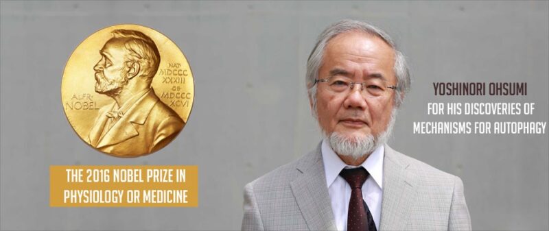 Manfaat Puasa Yang Diteliti Profesor Peraih Nobel dari Jepang (日本のノーベル賞受賞者が研究した断食の利点)